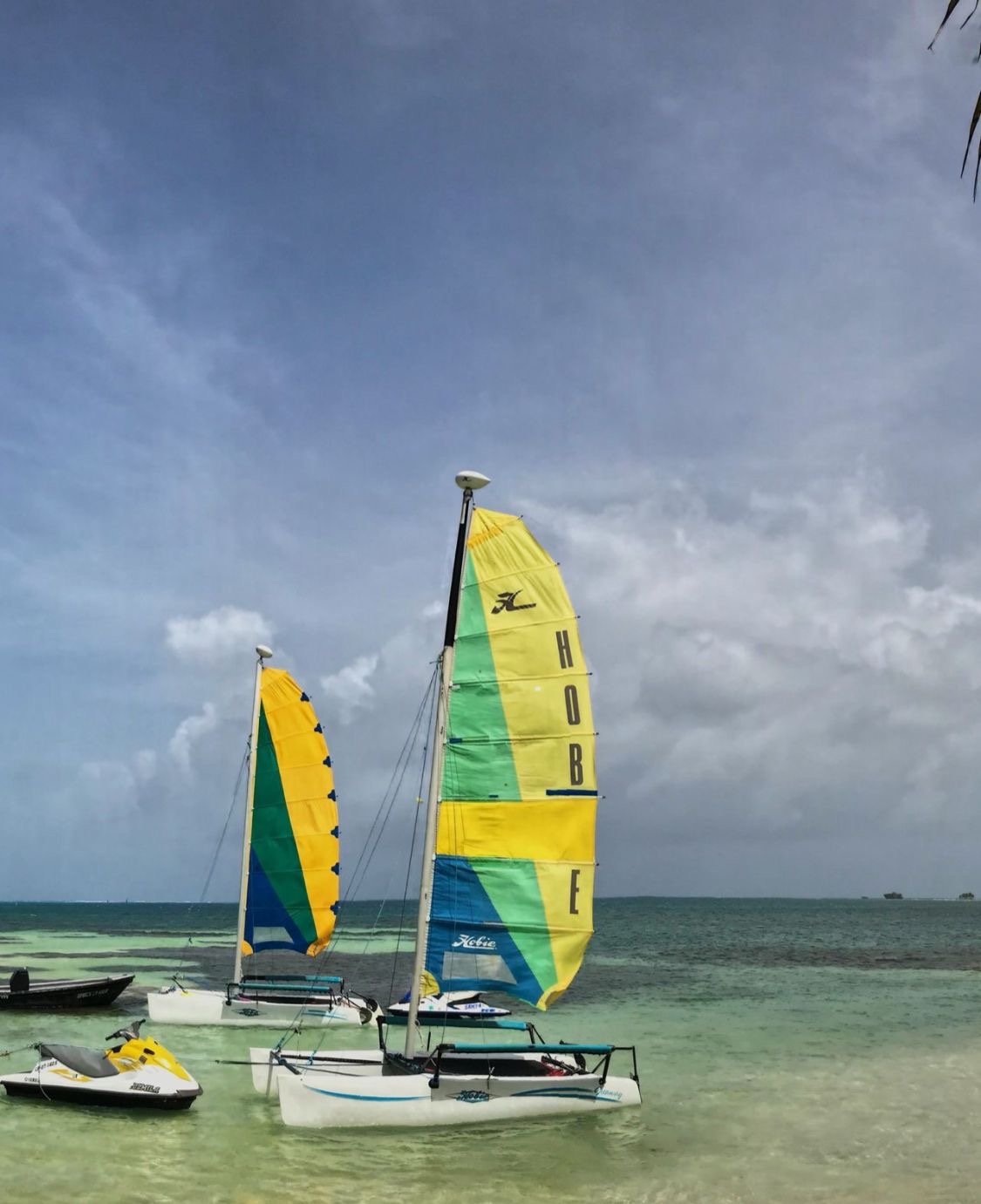 Veleros Hobie anclados en la orilla