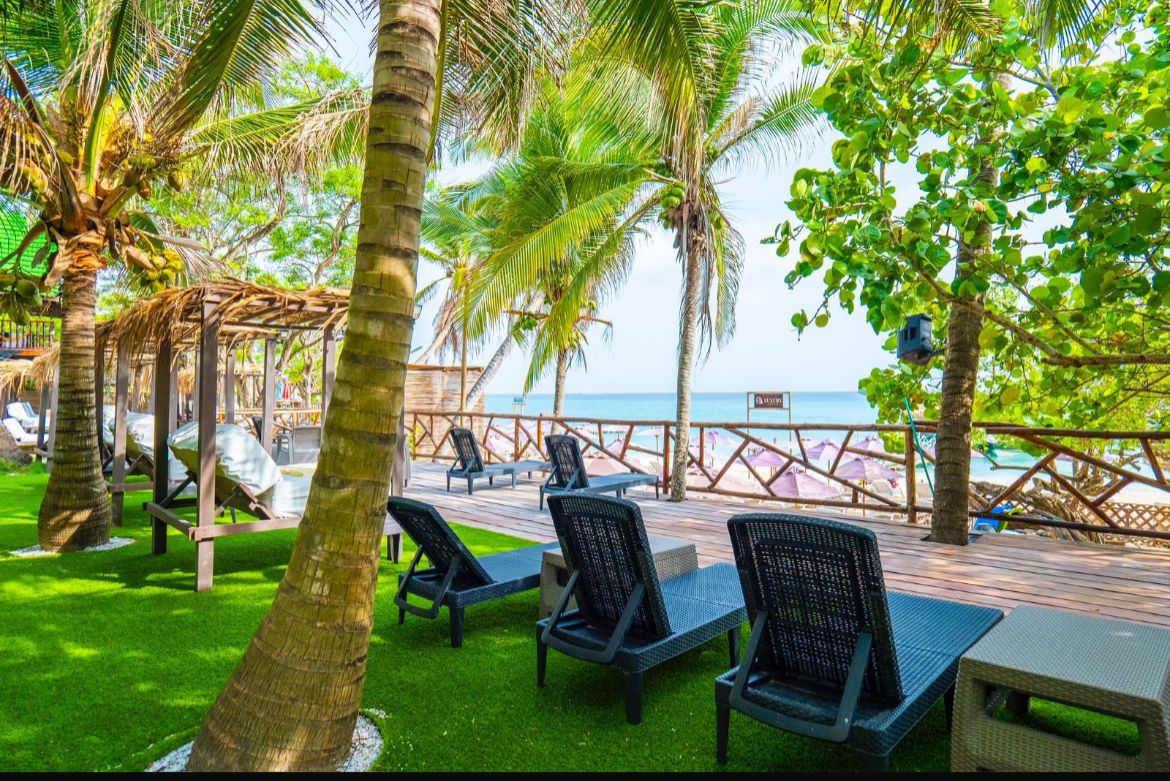 Luxury Area VIP - asoleadoras sobre grama