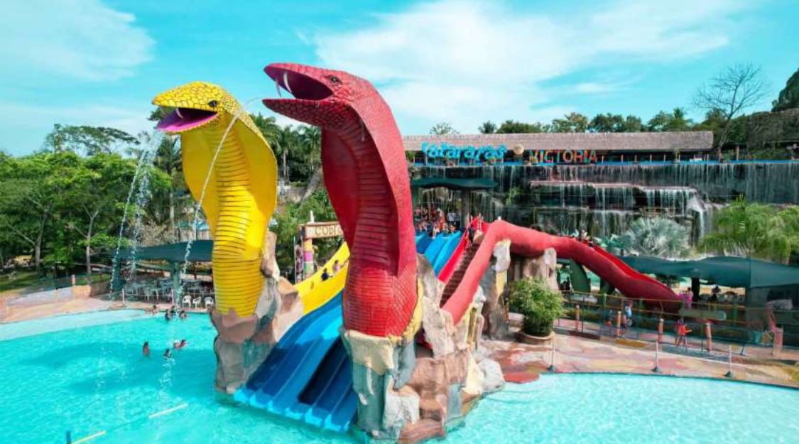 Toboganes de cobras en el parque