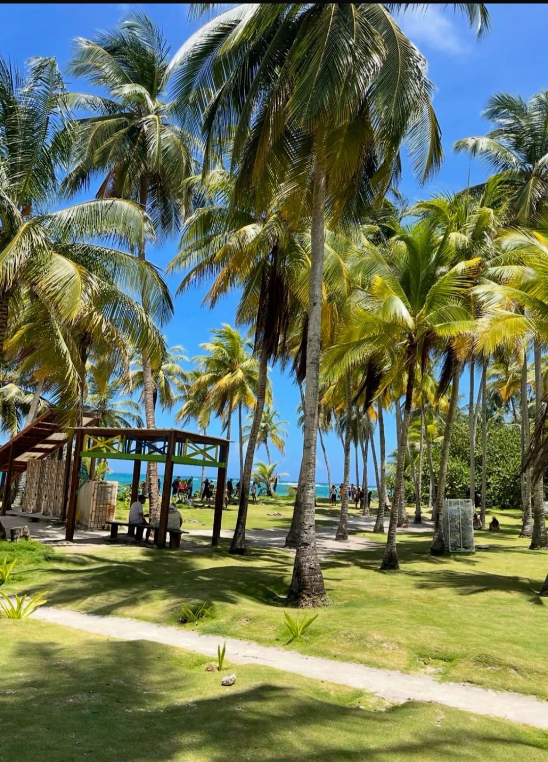 Palmeras y zonas de descanso en el parque de Jhony Cay