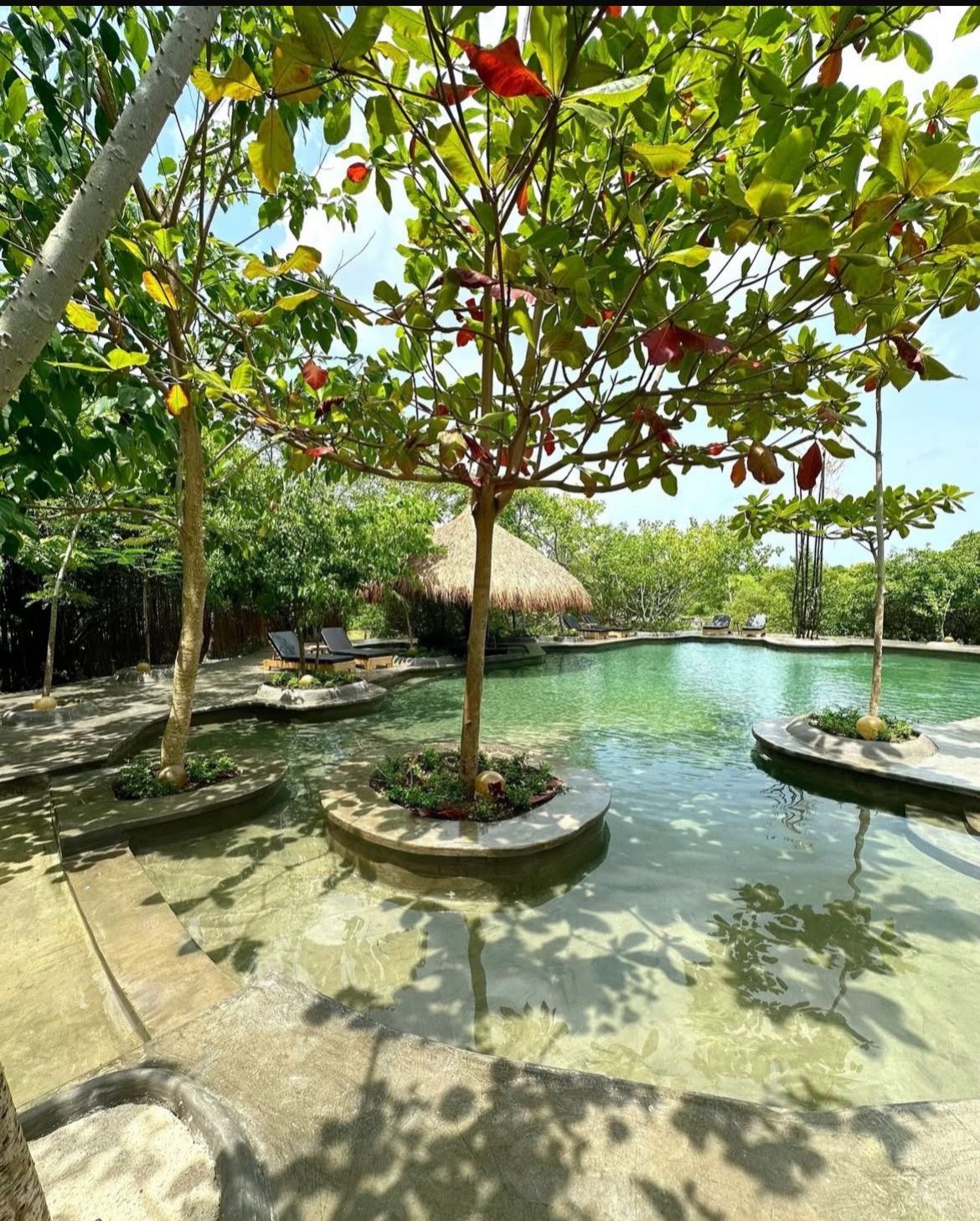 Piscina natural con árboles e islotes