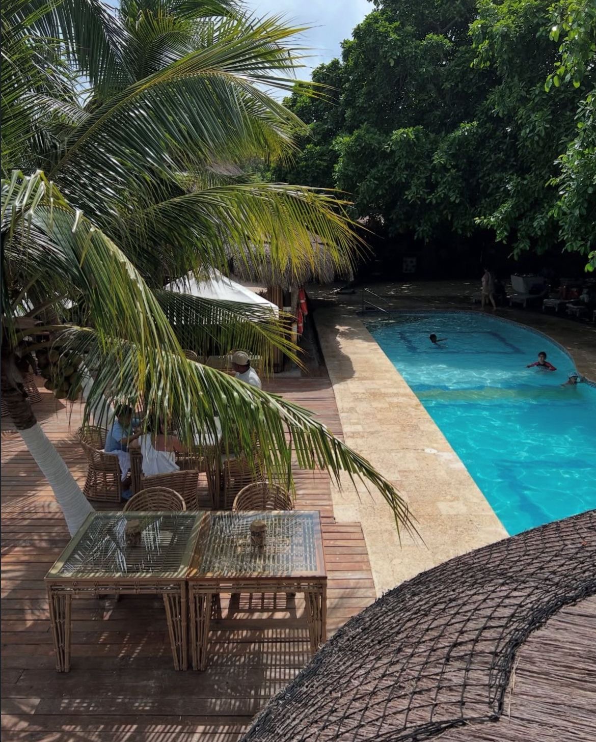 Piscina y deck con palmeras