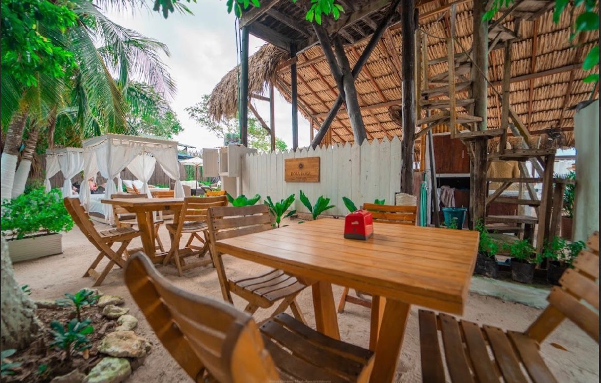 Comedor al aire libre entre palmeras