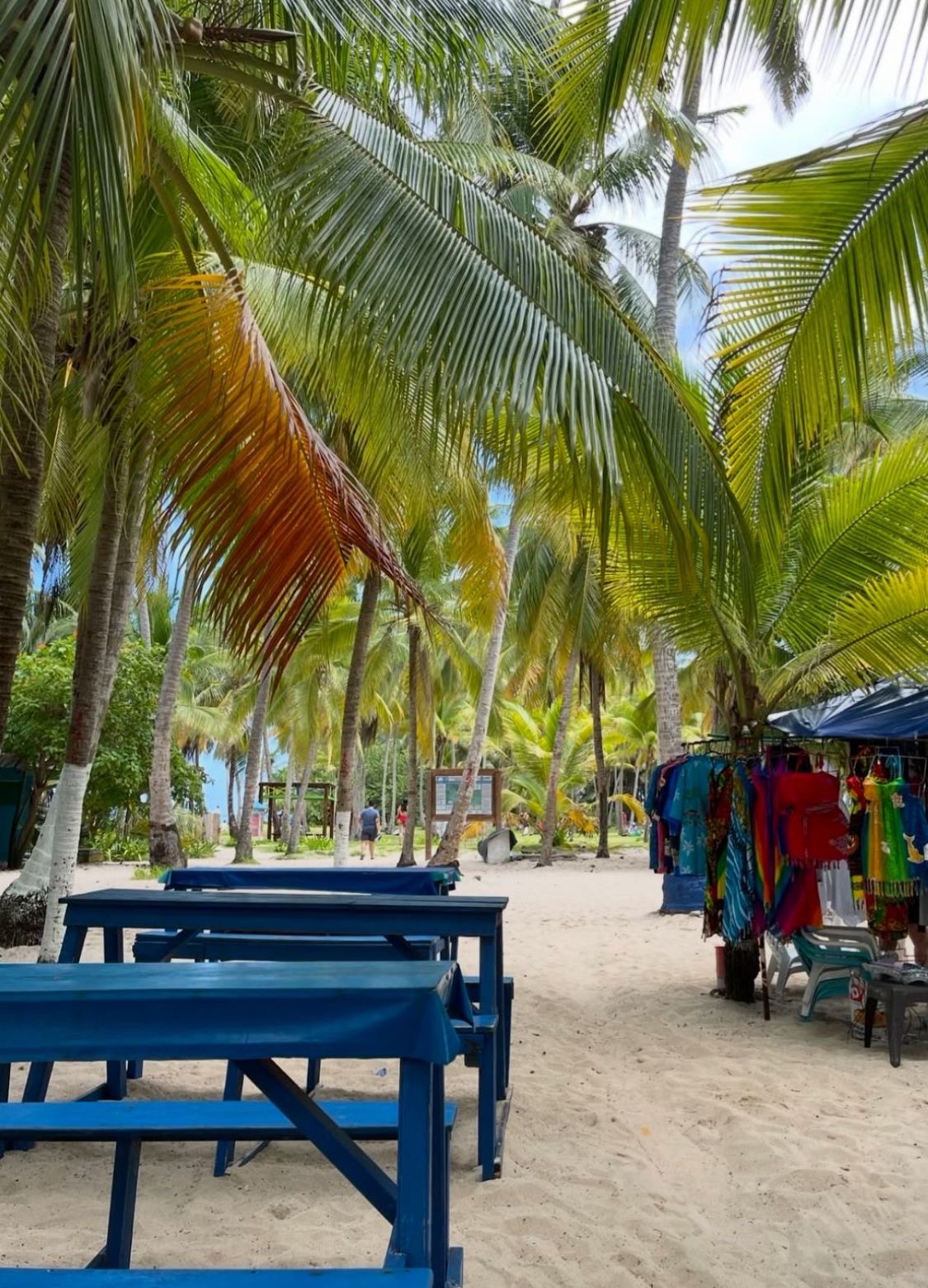 Mesas, artesanías y palmeras en la isla