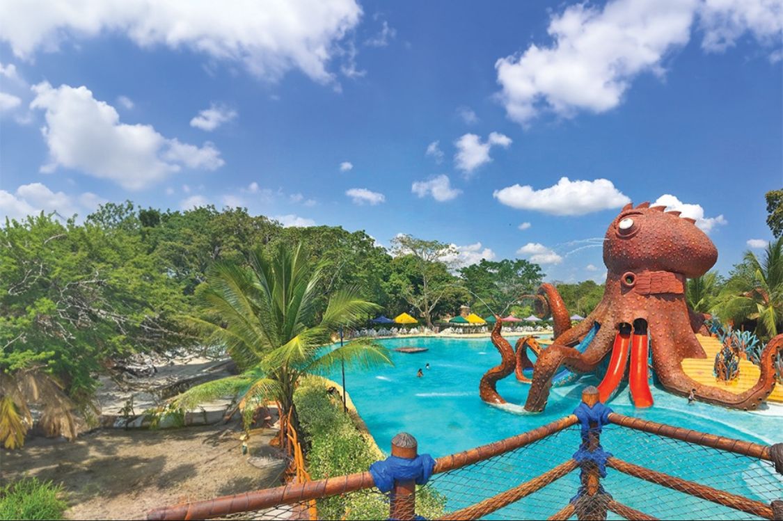 Piscina del pulpo gigante