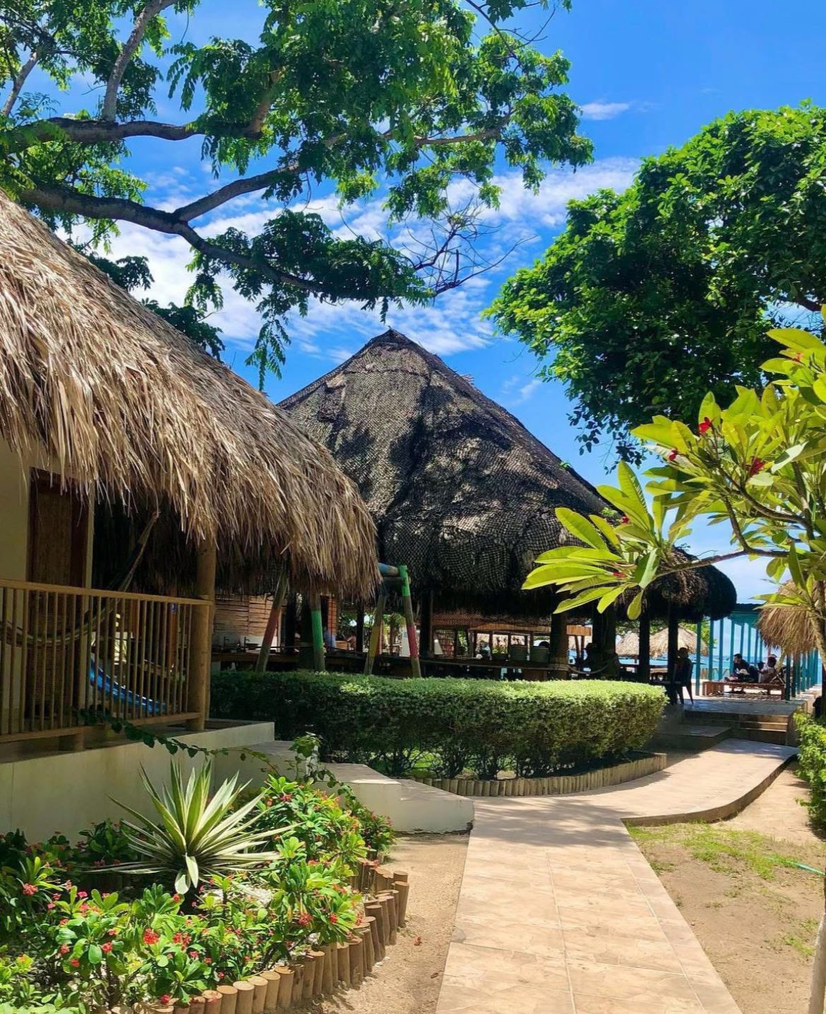 Jardines y senderos tropicales