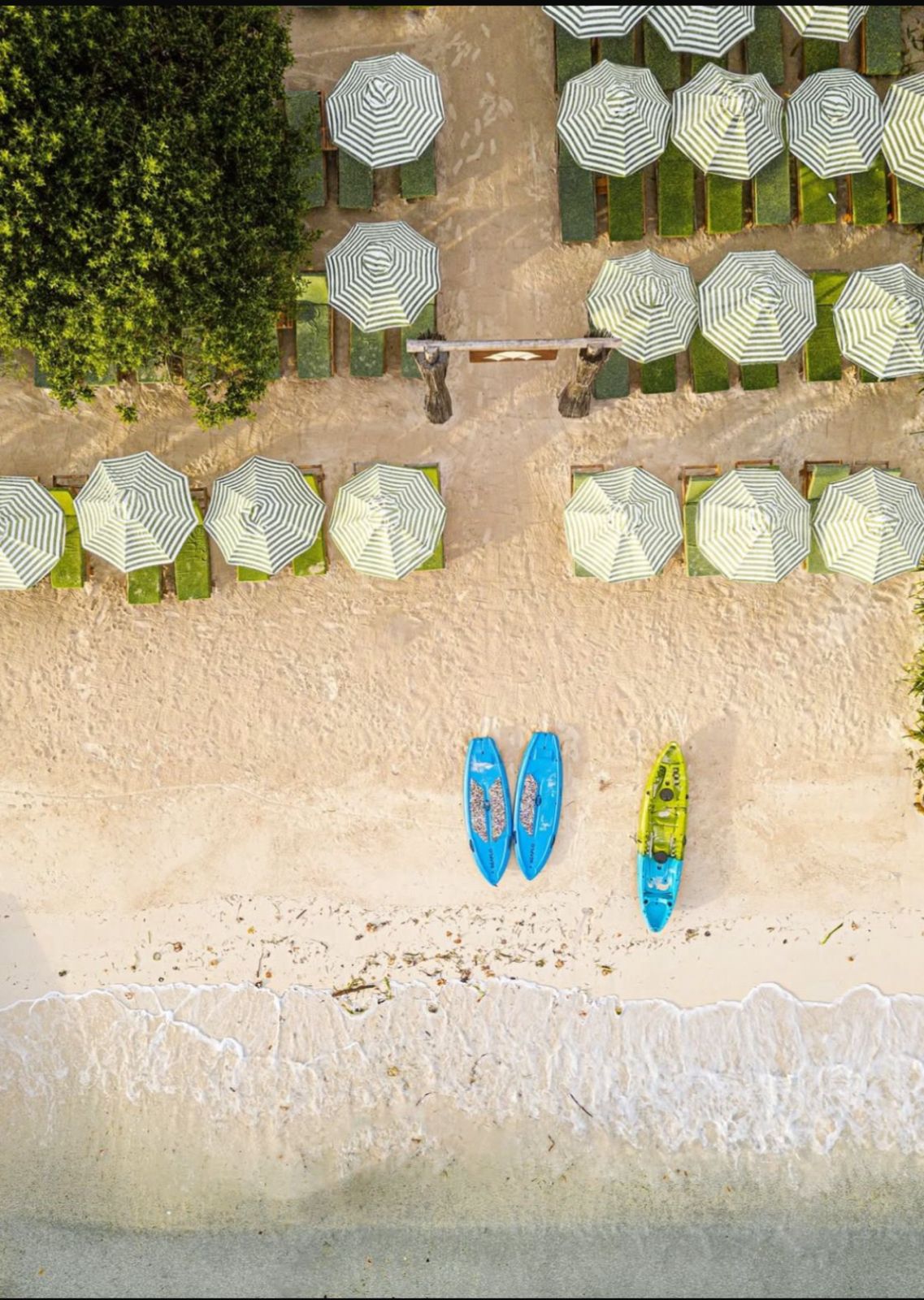 Sombrillas verdes y kayaks en Mantas Beach