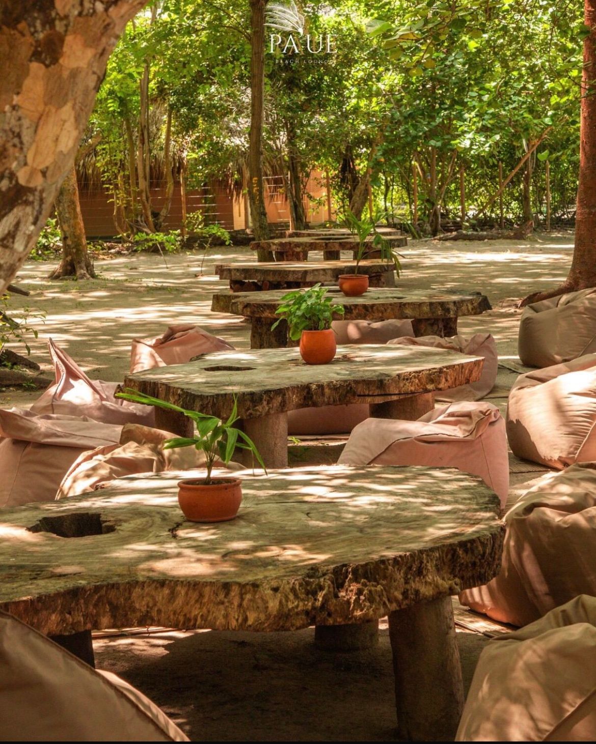 Lounge con mesas de tronco y bean bags