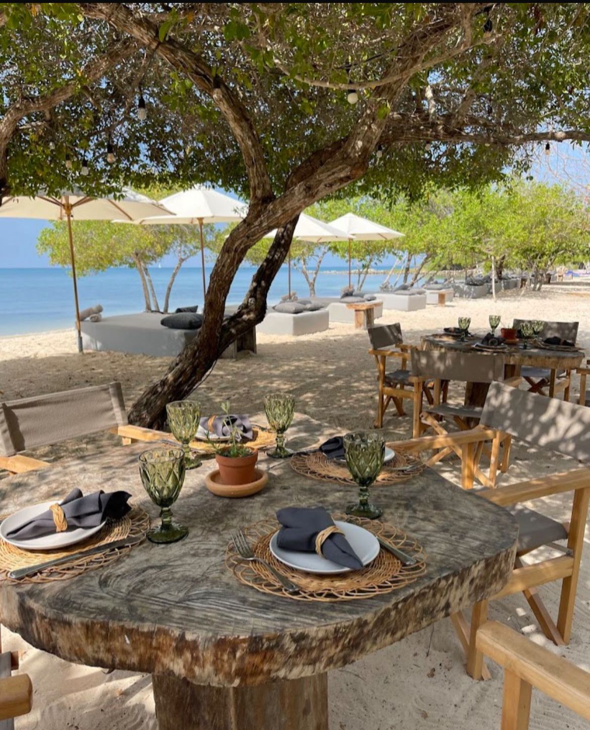 Comedor con copas verdes y vista al mar