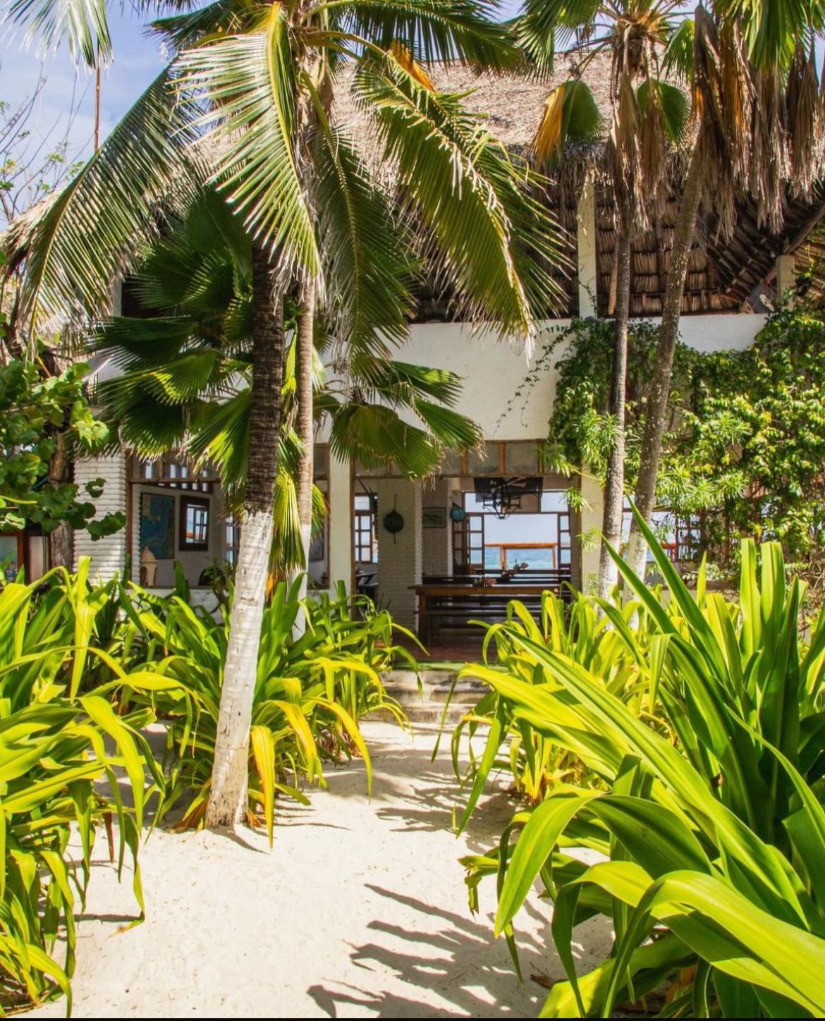 Isla Pirata Estándar - entrada tropical con palmeras