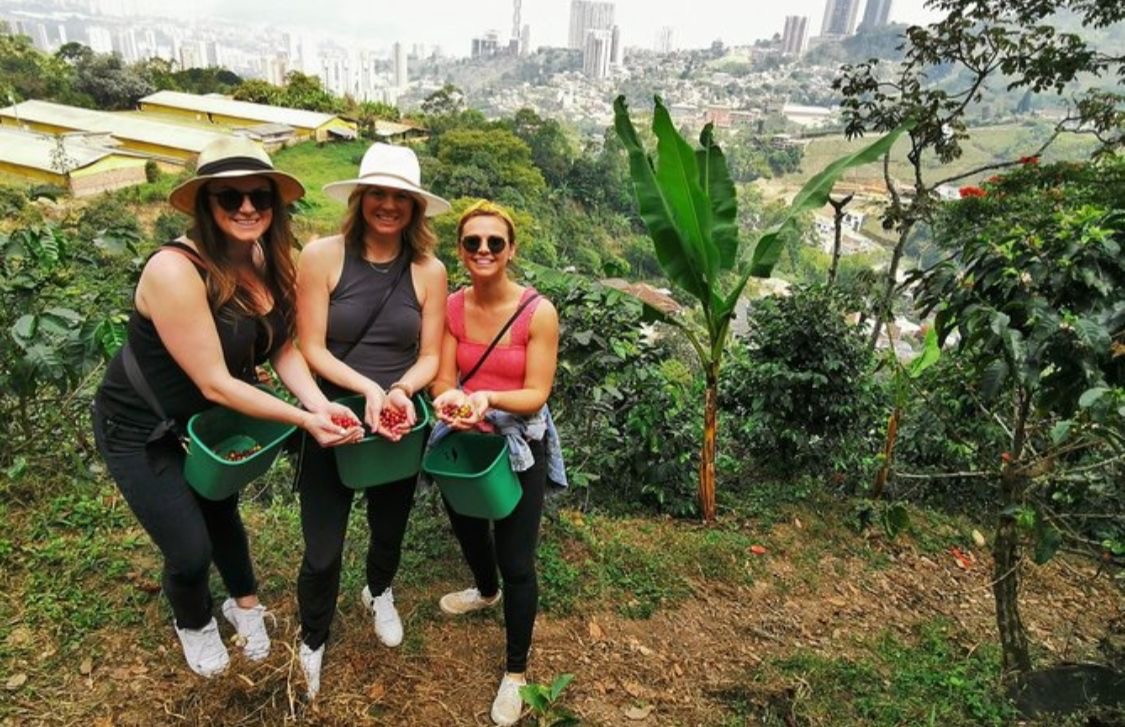 Turistas recolectando café con vista a Medellín